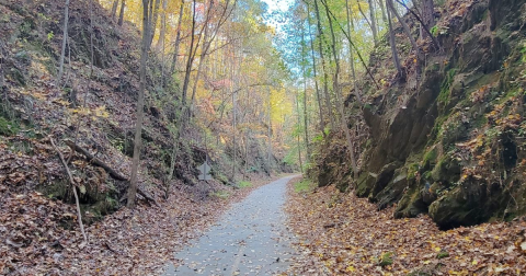 A Rail Trail Runs Through This Georgia Town And It's The Ultimate Outdoor Playground