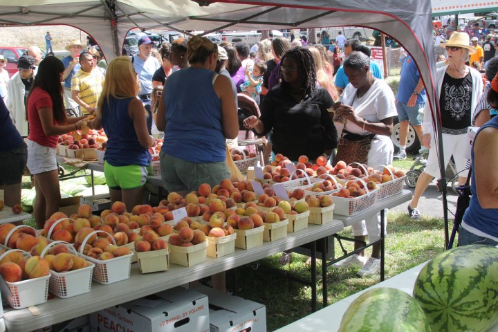 Peach Week North Carolina