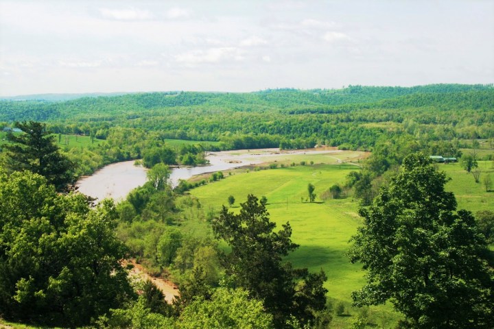 best nature center in Arkansas to witness butterflies