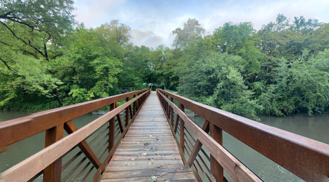 A Tortoise Is Your Guide At This Hidden Illinois Forest, Complete With A Bridge, Secret Cabin, Camping, And More