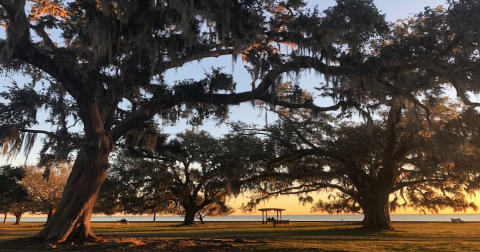 With A Farmer's Market And Weekly Music, There's Nothing Like A Summer Weekend In This Louisiana Town