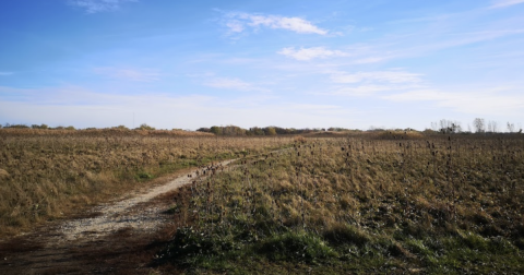 With A Model Airplane Flying Field, 8 Picnic Groves, And An Off-Leash Dog Area, Miller Meadow Is An Outdoor Playground For All Ages