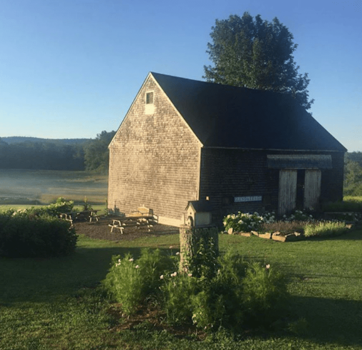 Lavender farm appleton maine