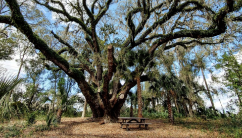 Camp Year-Round At This Epic Lakeside Campground In Florida