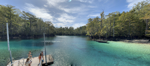 This Hidden Swimming Hole With A Rope Swing In Florida Is A Stellar Summer Adventure