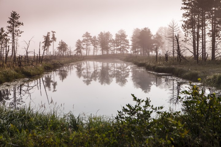 Seney National Wildlife Refuge