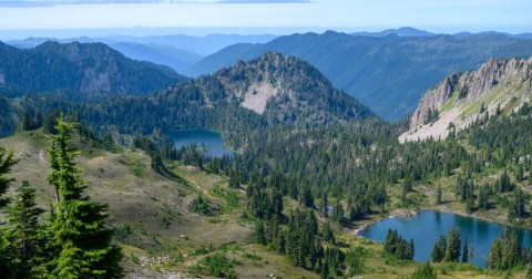 Go Hiking With Llamas In Washington For An Adventure Unlike Any Other