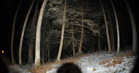 Step Inside The Creepy, Abandoned Town Of Dudleytown In Connecticut