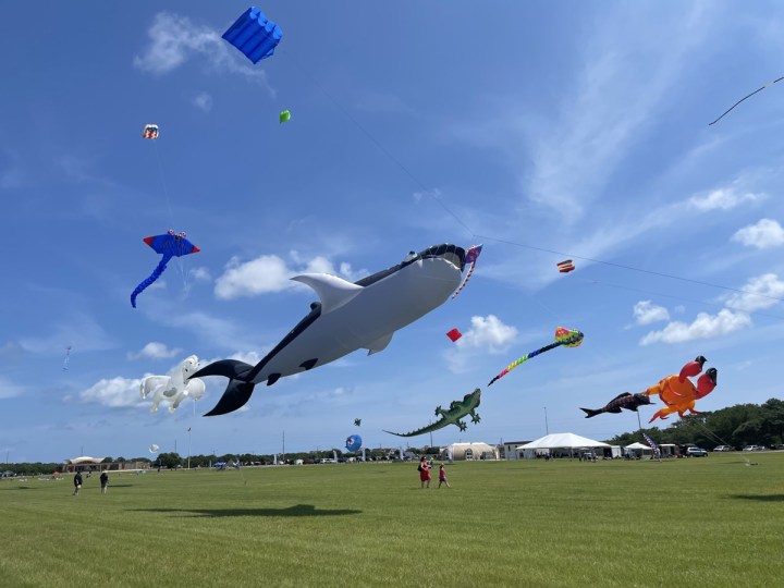 Wright Kite Festival