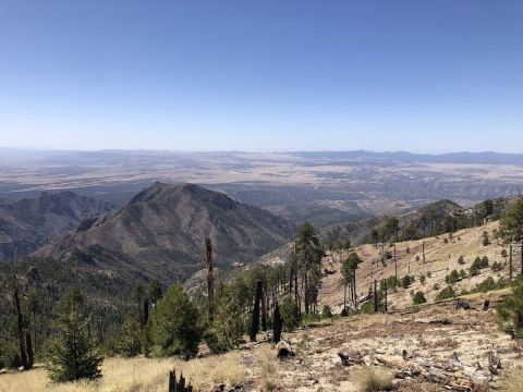 18 Best Hikes in New Mexico: The Top-Rated Hiking Trails to Visit in 2024