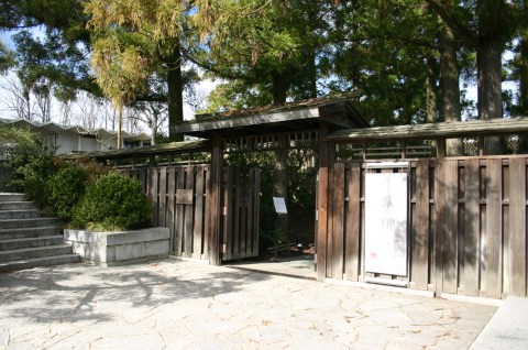 The National Bonsai Museum Is One of Maryland’s Best-Kept Secrets