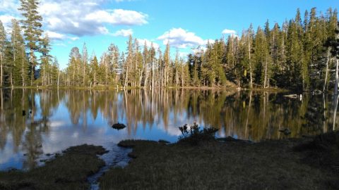 The Northern California Hike That Leads To The Most Unforgettable Destination