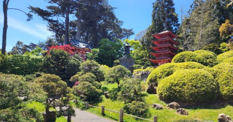 This Tea House Was Actually Built In Japan, Dismantled, And Brought To San Francisco