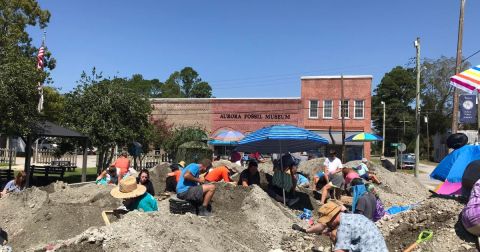 Immerse Yourself In North Carolina's Amazing Geological History At FossilFest 2023