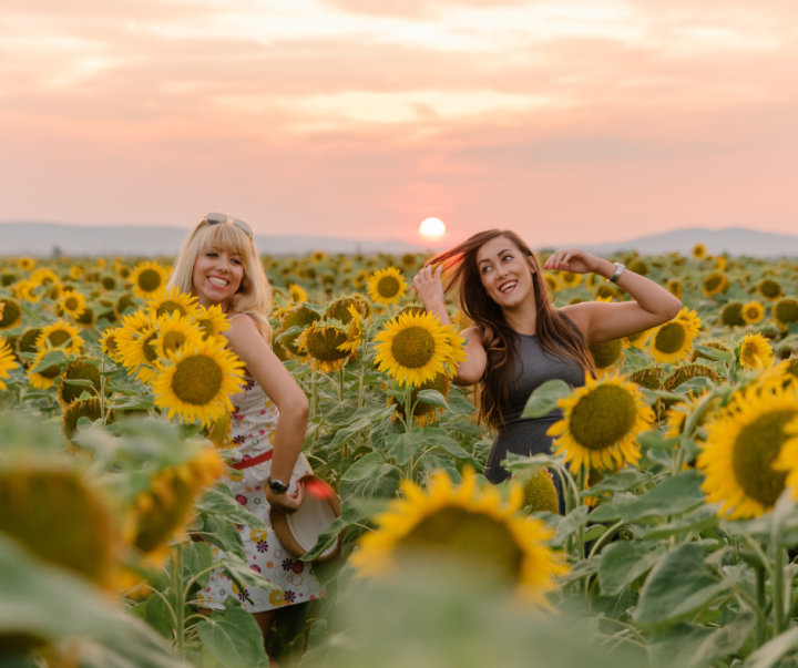 Summer Festival in South Carolina