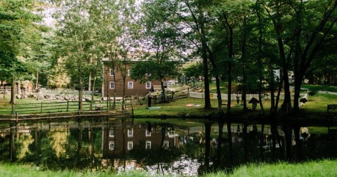 You Can Hike With Goats At Goats To Go In Massachusetts