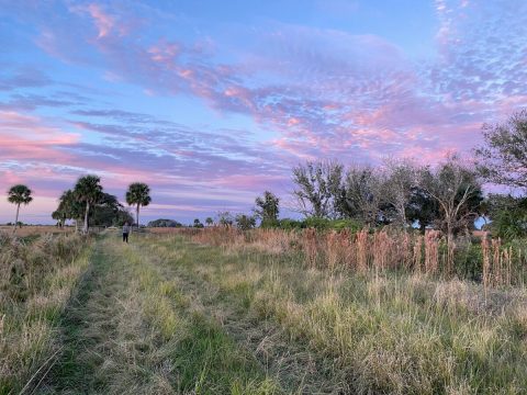 Few People Know There's A Natural Wonder Hiding In This Tiny Florida Town