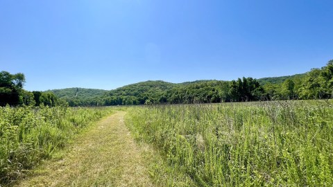 This Unspoiled Nature Trail In Missouri Is Like A Dream Come True