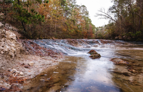 Most People Don't Even Know This Little-Known Destination In Louisiana Even Exists