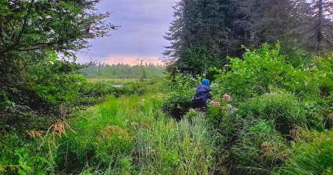 The Rugged And Remote Hiking Trail In Minnesota That Is Well-Worth The Effort