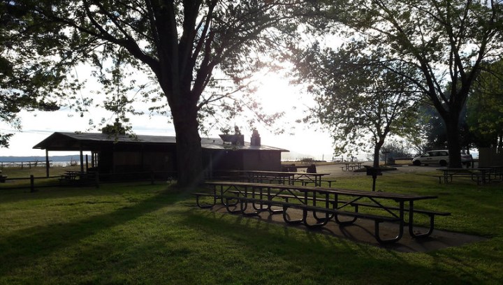 Have a picnic as part of your adventure. There are grill pitsCHECK and you can sit with a glorious view of either the SoundCAN YOU ABBREV THIS or McSorley Creek, depending on where you choose to sit.