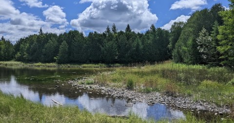 The One Loop Trail In Wisconsin That's Perfect For A Short Day Hike, No Matter What Time Of Year