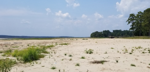 The Most Remote Lake In Louisiana Is A Must-Visit This Summer