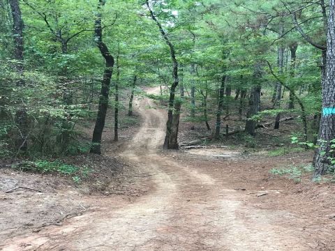 The Rugged And Remote Hiking Trail In Louisiana That Is Well-Worth The Effort