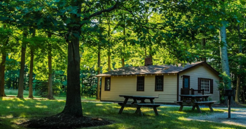 This Cabin And Park Is One Of The Best Places To View Summer Wildflowers Near Cleveland