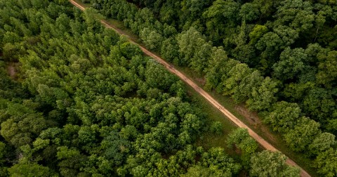 The New West Virginia State Park Worth Driving Across The State To Explore