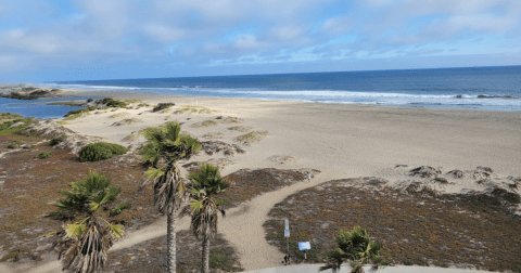 The Small Town Beach In Southern California That's An Idyllic Summer Day Trip