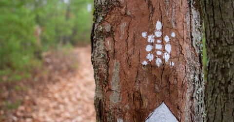 A Recreation Trail Runs Through This Kentucky Town And It's The Ultimate Outdoor Playground