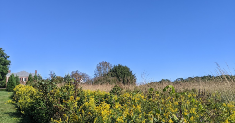 This Off-The-Beaten-Path Park In Ohio Is The Perfect Place To Escape