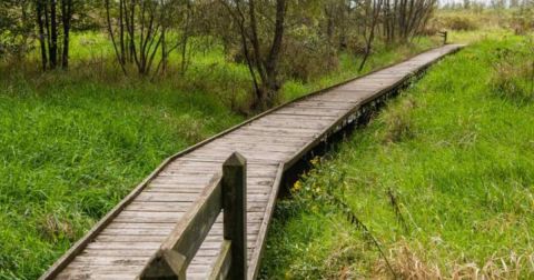 This Beautiful Boardwalk Trail In Missouri Is The Most Unique Hike Around