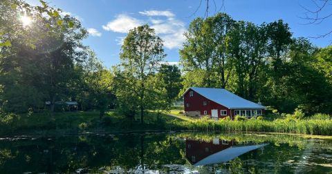 Celebrate The Migration Of Indiana Hummingbirds At This Fun Summer Festival