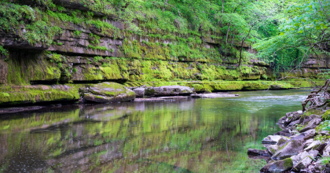 Most People Don't Even Know This Little-Known Destination In Kentucky Even Exists