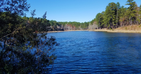 One Of The Most Remote Swimming Holes In Texas Is A Must-Visit This Summer