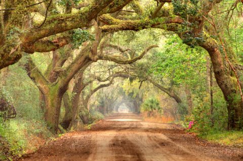 The Scenic Drive In South Carolina That Runs Straight Through The Charming Small Town Of Edisto Beach