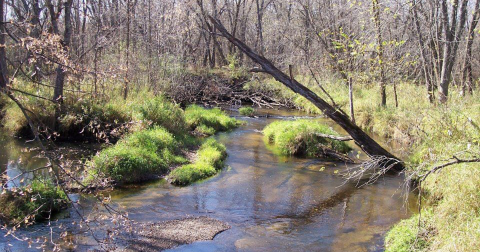 The Fascinating Archaeological Discovery That Put This Minnesota Park On The Map