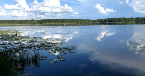 There's A Park Hiding On The Very Edge Of Georgia And It's Such A Peaceful Escape