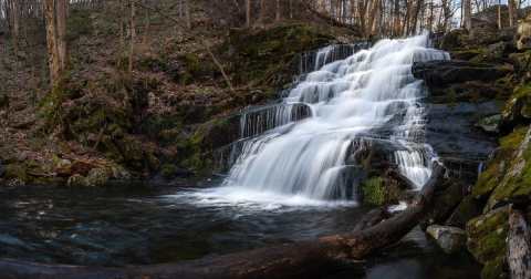 There's A State Forest Hiding On The Very Edge Of Connecticut And It's Such A Peaceful Escape