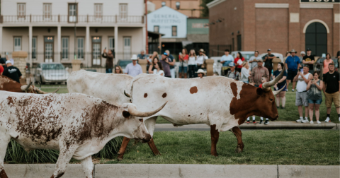 Celebrate Western Heritage At The 63rd Annual Dodge City Days, A 10-Day Festival In Kansas Like No Other