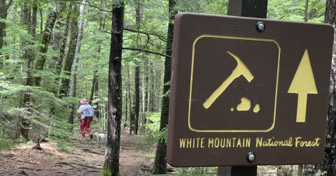 Dig For Different Types Of Authentic Quartz At Middle Moat Mountain In New Hampshire