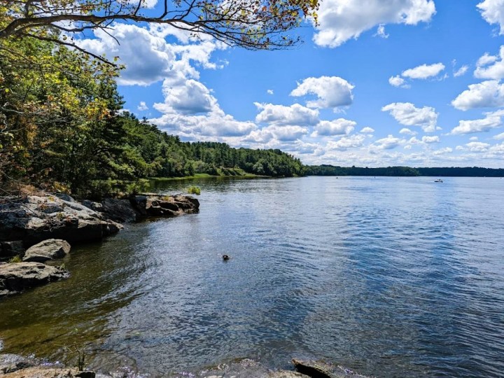 Maudslay State Park