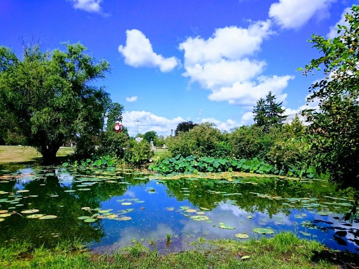 Bloomington Arboretum