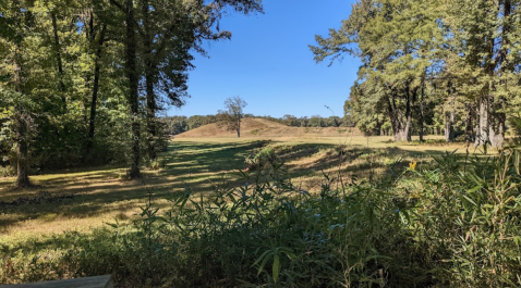 The Fascinating Archaeological Discovery That Put This Louisiana Village On The Map