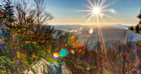 The Great Smoky Mountains National Park Was Named The Most Beautiful Place in Tennessee And We Have To Agree