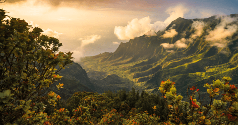 Most People Don't Even Know This Little-Known Destination In Hawaii Even Exists