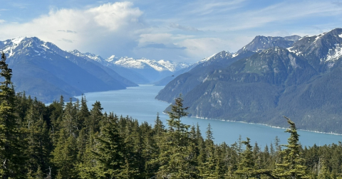 The Alaska Trail With A Boardwalk And Summit Lookout You Just Can't Beat