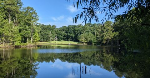 Recommended Eating Limits For Fish From North Carolina River Due To Presence of Persistent Chemical Contamination